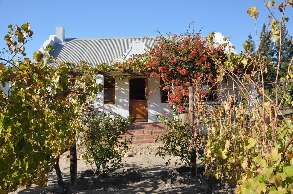 Dunstone Country House Wellington Exterior foto